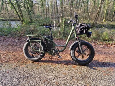 Fiido T1 Pro Electric Cargo Bike