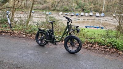Fiido T1 Pro Electric Cargo Bike