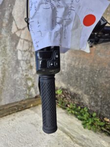 Raleigh Stow-e-Way Folding E-Bike