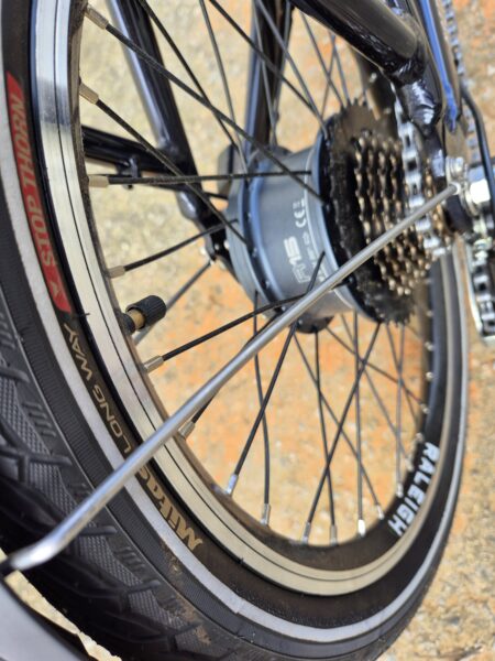 Raleigh Stow-e-Way Folding E-Bike