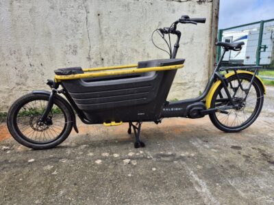 Raleigh Stride 2 Cargo E-Bike