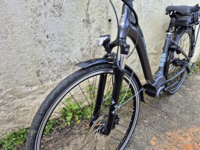 Raleigh Motus Tour 400 Nexus 7 2019