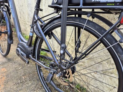 Raleigh Motus Tour 400 Nexus 7 2019