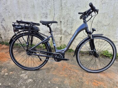 Raleigh Motus Tour 400 Nexus 7 2019