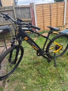 Ampere X-Trail 29er Electric Bike
